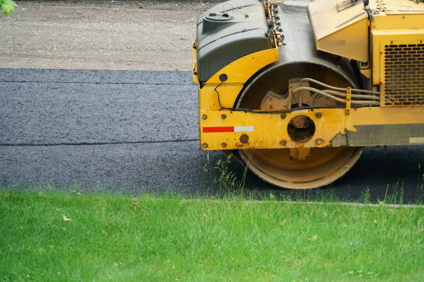 Best Professional Driveway Pavers  in Dana, NC